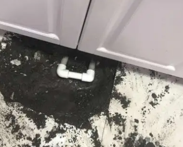 新河查漏水哪家好